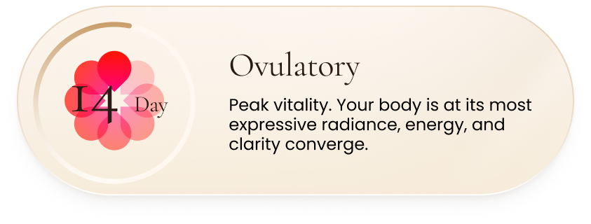 Ovulatory Phase